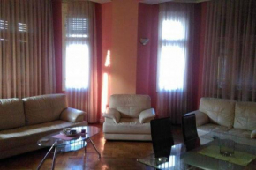Cozy appartment in the city center